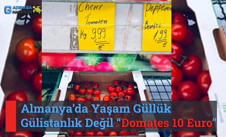 Almanya’da Yaşam Güllük Gülistanlık Değil- Domat 10 Euro