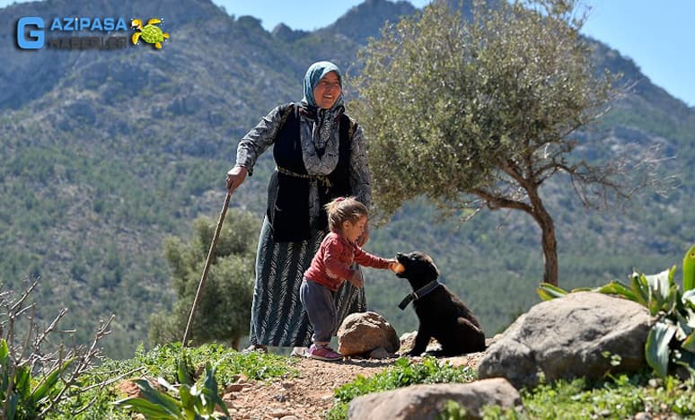 Anadolu’da Yayla Kültürü