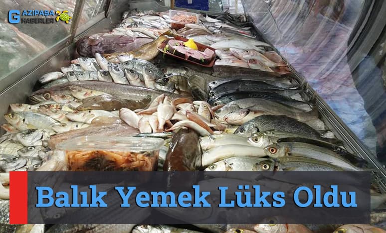 Balık Yemek Lüks Oldu