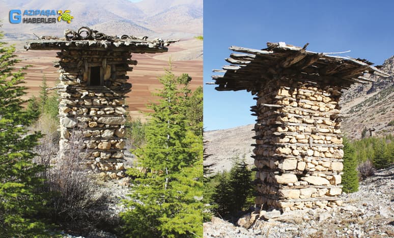 Gazipaşa Arı Serenleri