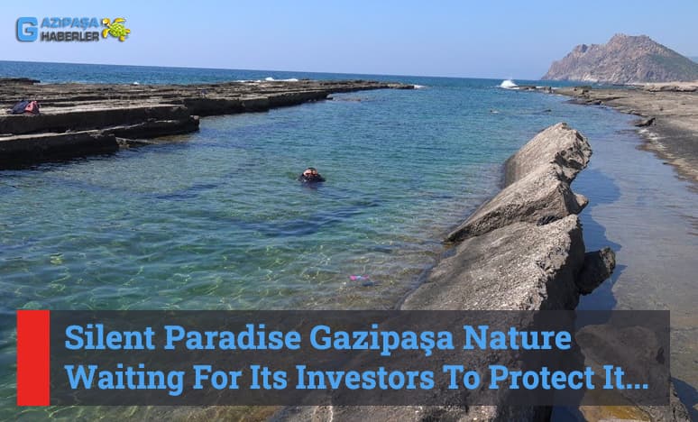 Gazipasa Investment Consultancy