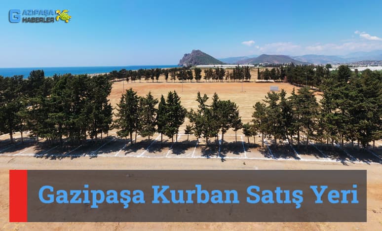 Gazipaşa Kurban Satış Yeri