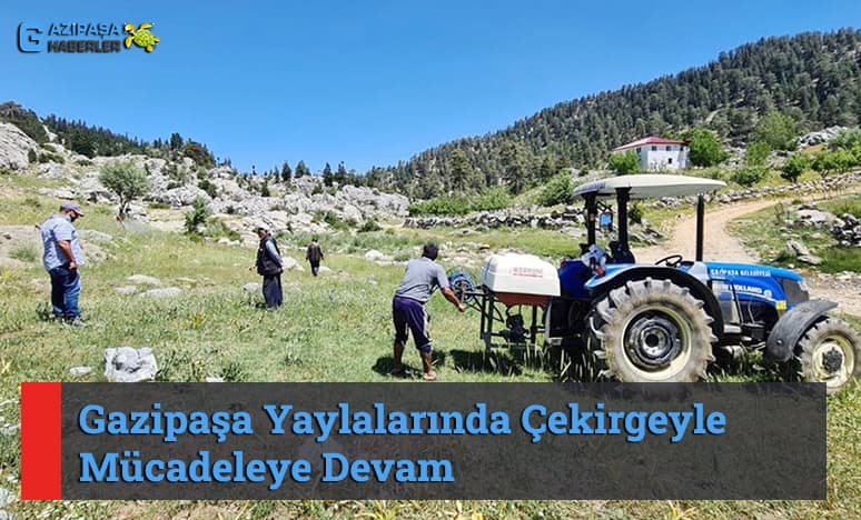 Gazipaşa Yaylalarında Çekirgeyle Mücadeleye Devam