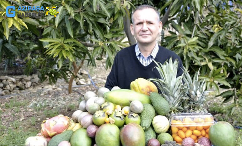 Gazipaşa Ziraat Ve Tarımda Tropikal Meyvelerin Başkenti 