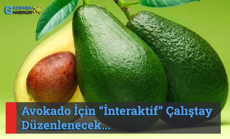 Avokado İçin 