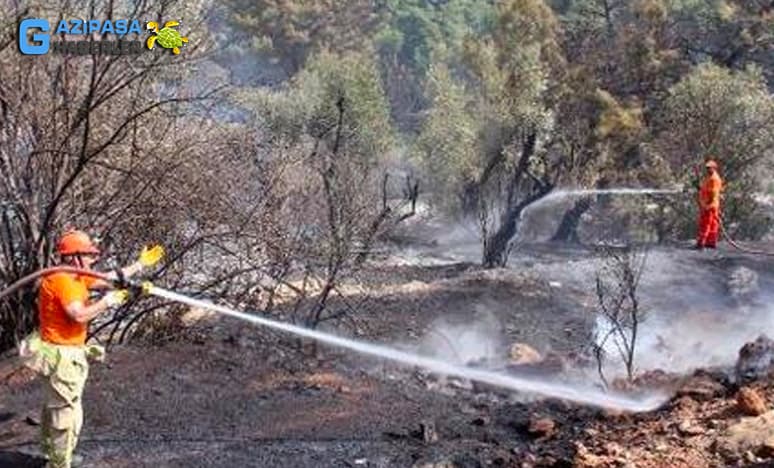 Gazipaşada Çıkan Yangında 26 Dekarlık Arazi Zarar Gördü