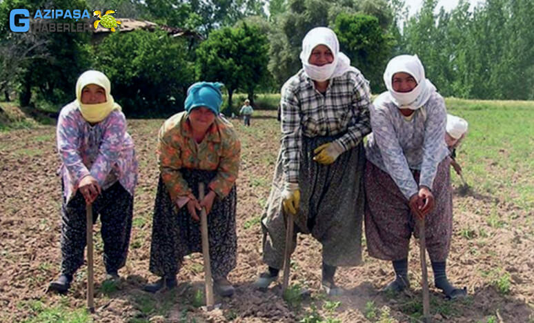 Gazipaşa'da İmece Geleneği Nedir? 