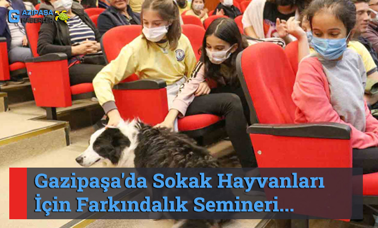 Gazipaşa'da Sokak Hayvanları İçin Farkındalık Semineri