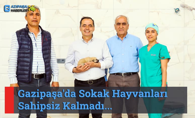 Gazipaşa'da Sokak Hayvanları Sahipsiz Kalmadı