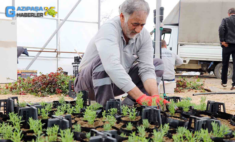 Gazipaşa'da Üreten Belediye Dönemi...