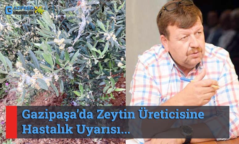 Gazipaşa’da Zeytin Üreticisine Hastalık Uyarısı