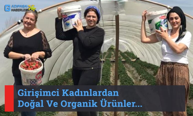 Girişimci Kadınlardan Doğal Ve Organik Ürünler...