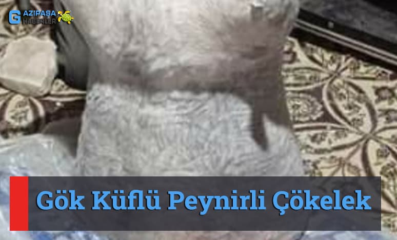 Gök Küflü Peynirli Çökelek