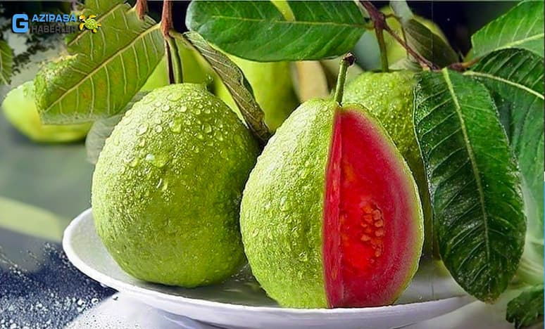 Guava Meyvesi Nedir? Guava Çeşitleri Nelerdir?