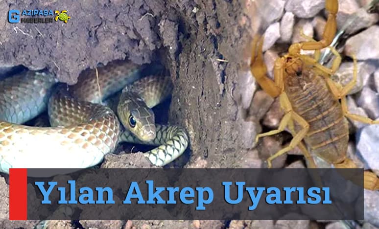 Yılan Akrep Uyarısı