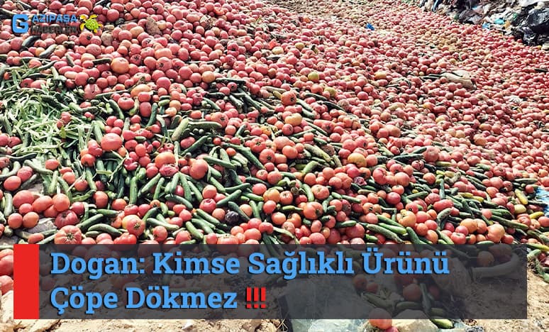 Dogan: Kimse Sağlıklı Ürünü Çöpe Dökmez 