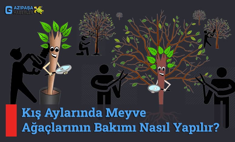 Kış Aylarında Meyve Ağaçlarının Bakımı Nasıl Yapılır?