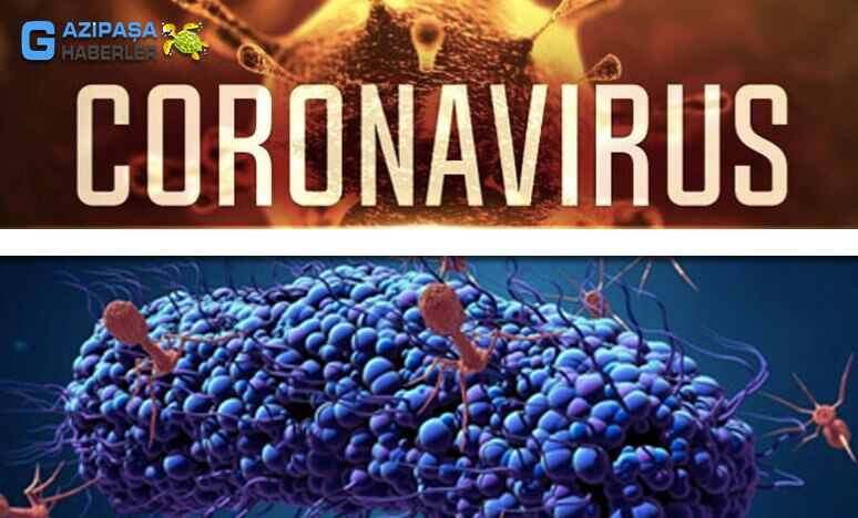 Koronavirüs Panzehiri 