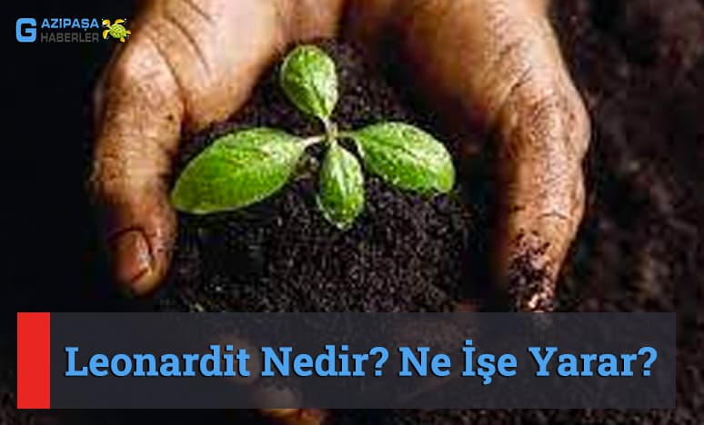 Leonardit Nedir? Ne İşe Yarar? Leonardit Nerelerde Kullanılır?