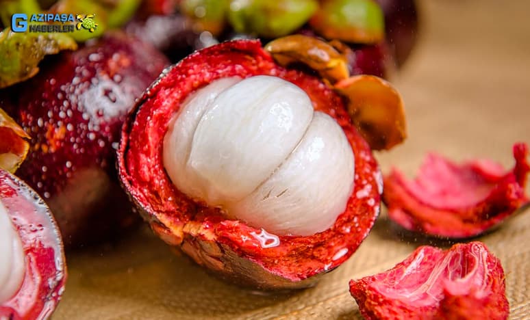 Mangosteen Nedir? Mangosteen Nasıl Yetiştirilir?