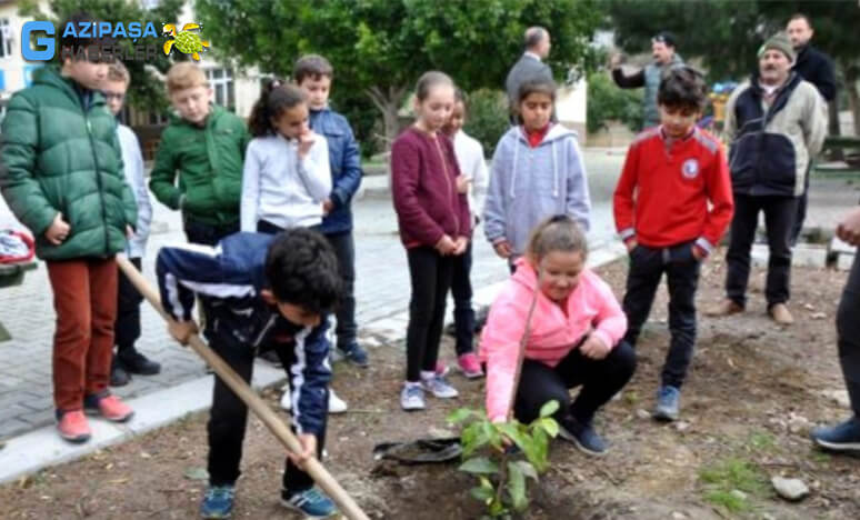 Öğrenciler Okul Bahçesine Çikolata Meyvesi Dikti