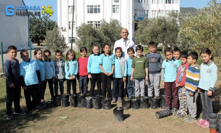 Öğrencilerden 40 Dakika Teneffüste Serada Avokado !!!