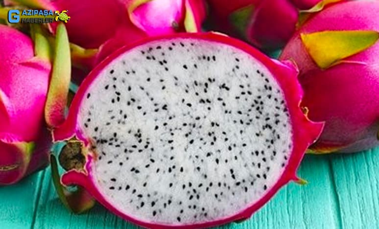 Pitaya Meyvesi Nedir? Pitaya Nasıl Yetiştirilir?