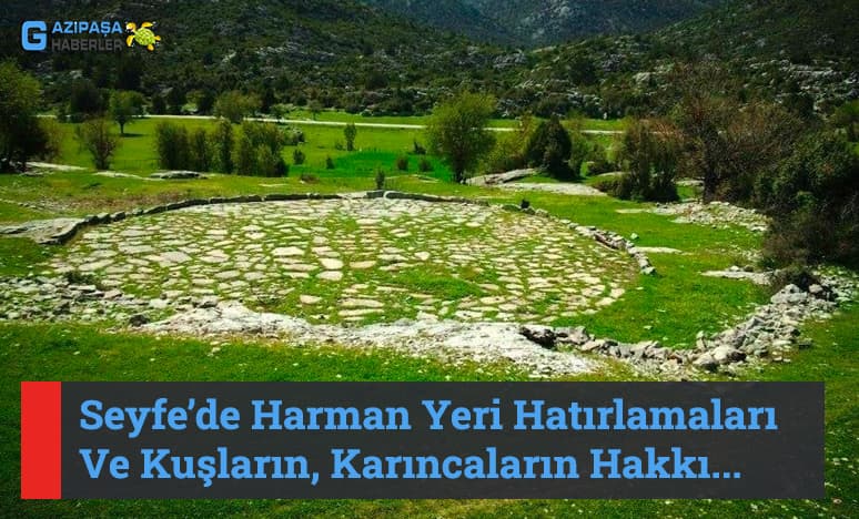 Seyfe’de Harman Yeri...