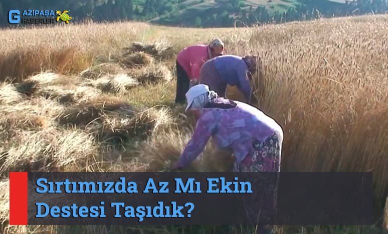 Sırtımızda Az Mı Ekin Destesi Taşıdık? 