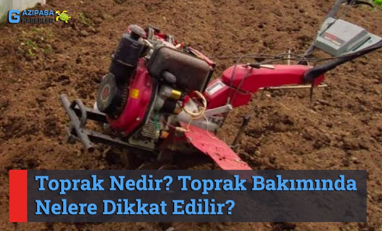 Toprak Nedir? Toprak Bakımında Nelere Dikkat Edilir?