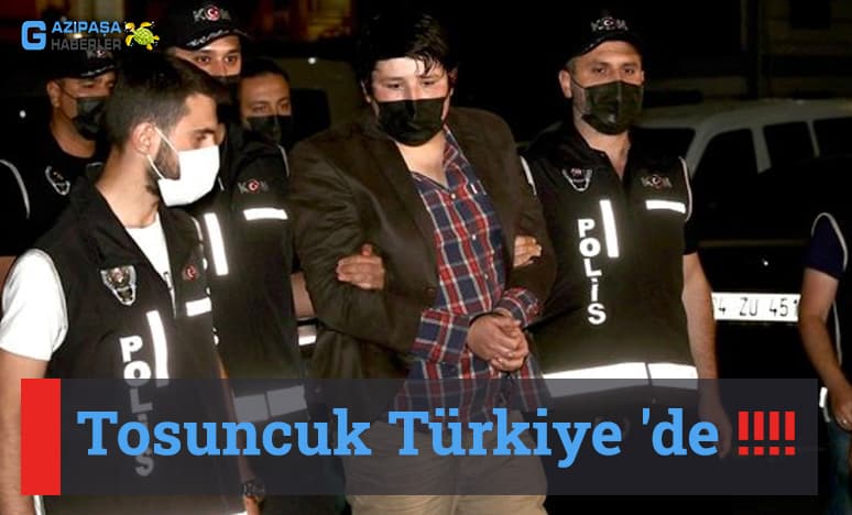 Tosuncuk Türkiye 'de