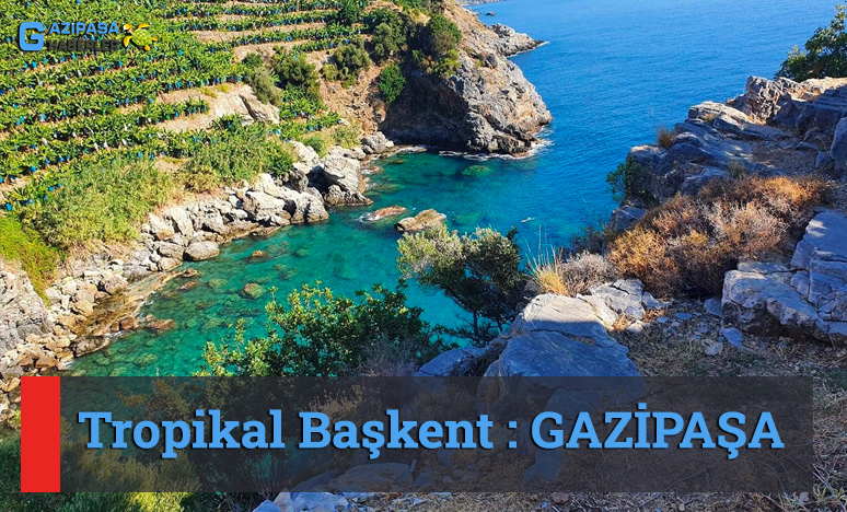 Tropikal Başkent : Gazipaşa 