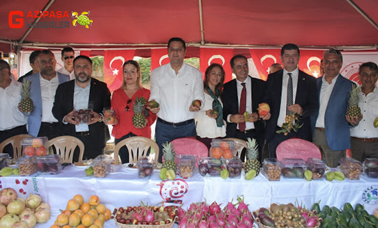 Tropikal Meyve Cenneti Gazipaşada Festival