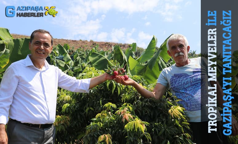 Tropikal Meyveler İle Gazipaşayı Daha İyi Tanıtacağız...<