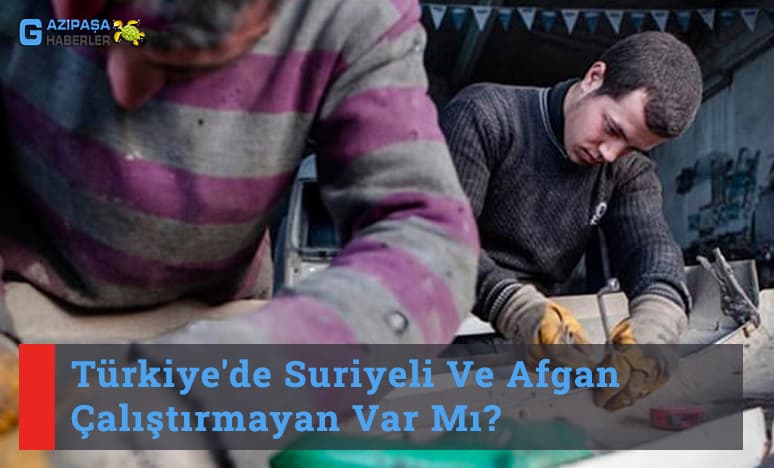 Türkiye'de Suriyeli Ve Afgan Çalıştırmayan Var Mı?