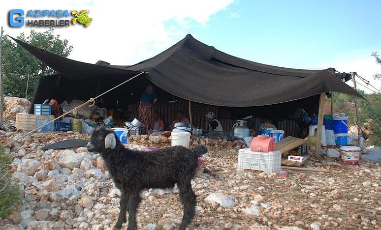 Yörük Adetlerinden Yayla Serüveni Nasıl Başlar?