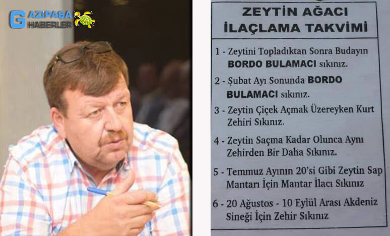 Zeytin Üreticilerine Bakım ve Budama Uyarıları