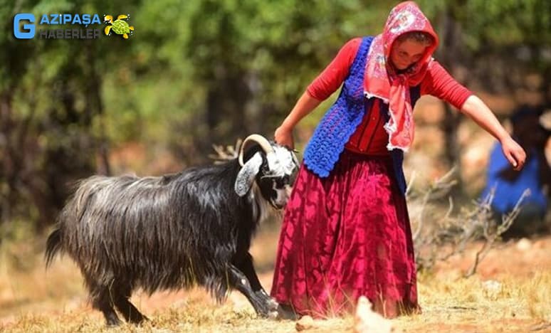 Anadolu’da Yayla Kültürü