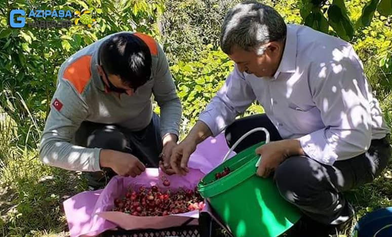 Başkan Çelik 14 Mayıs Çiftçiler Gününü Kutladı...