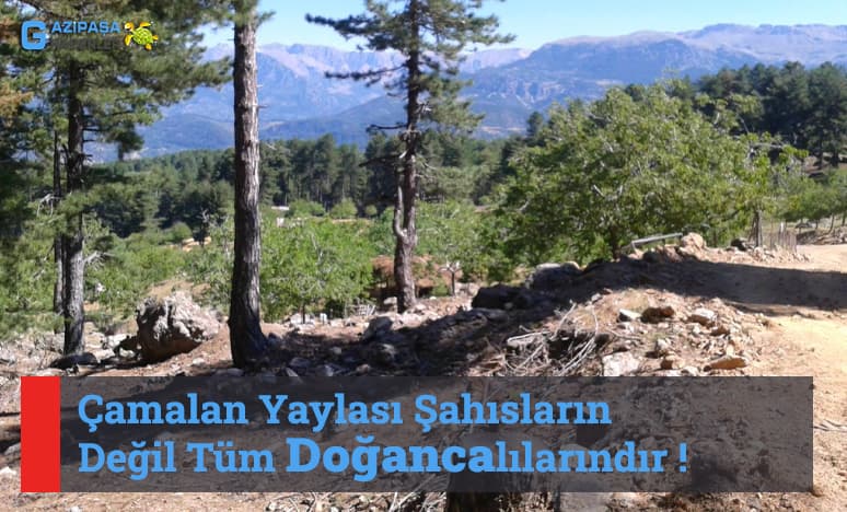 Çamalan Yaylası Şahısların Değil Tüm Doğancalılarındır !