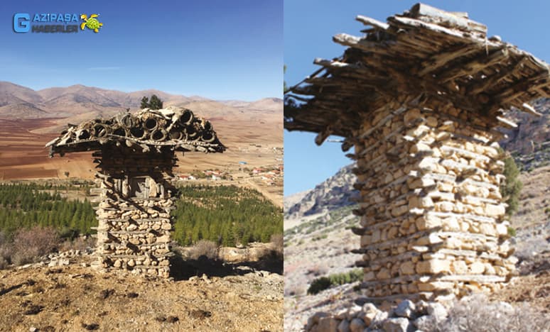 Gazipaşa Arı Serenleri