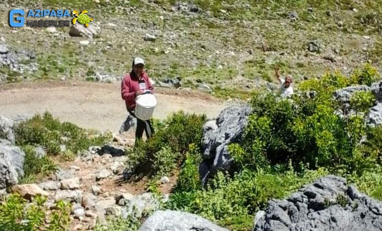 Gazipaşa Yaylalarında Temmuz Ayında Karlama Keyfi