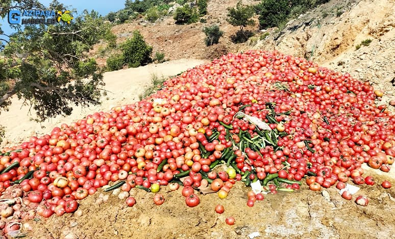 Dogan: Kimse Sağlıklı Ürünü Çöpe Dökmez 