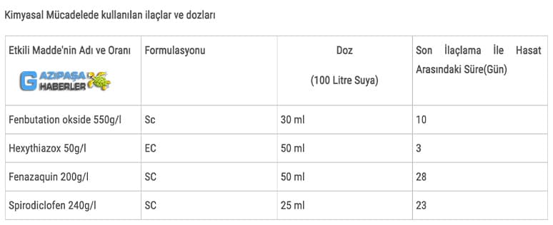 Kırmızı Örümcek Nedir? Mücadele Yöntemleri Nelerdir?