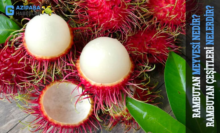 Rambutan Meyvesi Nedir? Rambutan Çeşitleri Nelerdir?