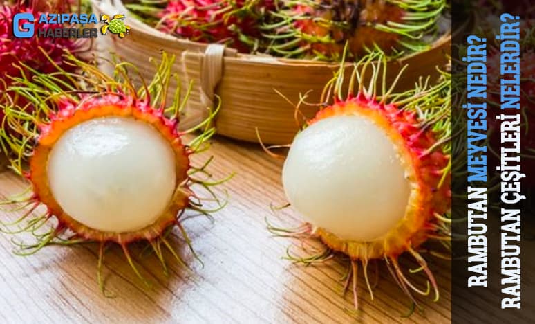 Rambutan Meyvesi Nedir? Rambutan Çeşitleri Nelerdir?