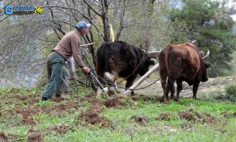 Ne Versa Köyde Varmış, Şehir Hayatı Hepimizin Psikolojisini Bozdu...