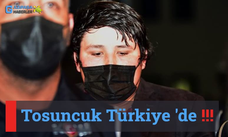 Son Dakika Haber- Tosuncuk Türkiye 'de...