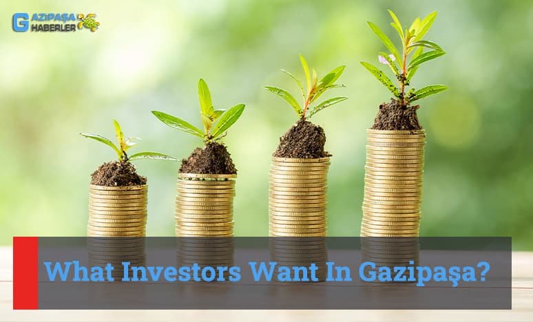 What Investors Want In Gazipaşa...