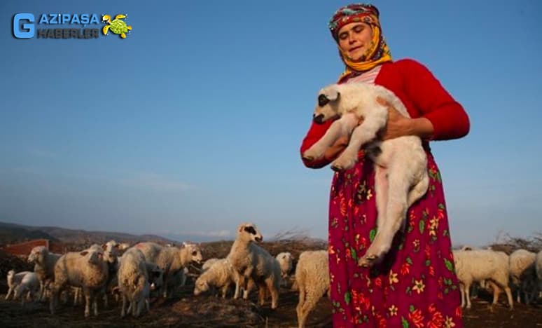 Yörük Kadınları ve Yörük Mutfağı 